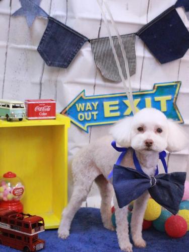 20230404ネネちゃん